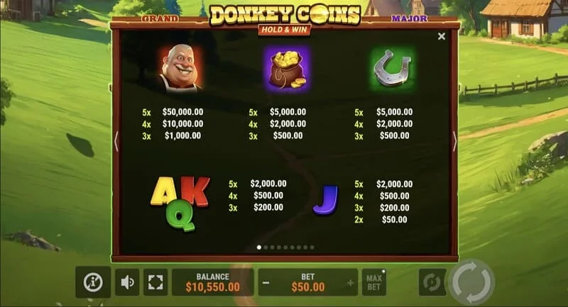 Donkey Coins Hold & Win – laukas su lipniais Coin žetonais