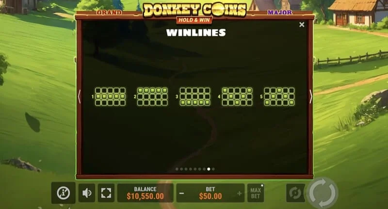 Donkey Coins Hold & Win – didelis laimėjimas specialiajame režime