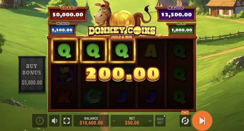 Donkey Coins Hold & Win – Hold & Win režimo paleidimas